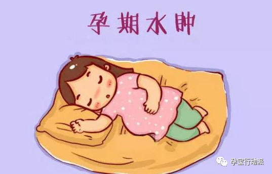 孕期周刊是什么软件,孕期知识百科十五周