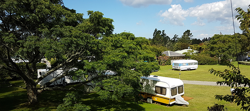 新西兰自然主义公园,新西兰向全世界开放