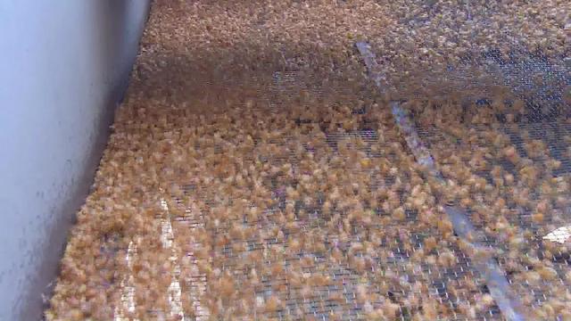 黑龙江百日攻坚行动什么时候结束,黑龙江会战100天