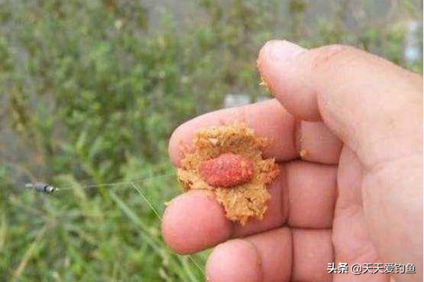 防止小鱼闹窝的5大套路,防止小鱼闹窝最有效的4大技巧