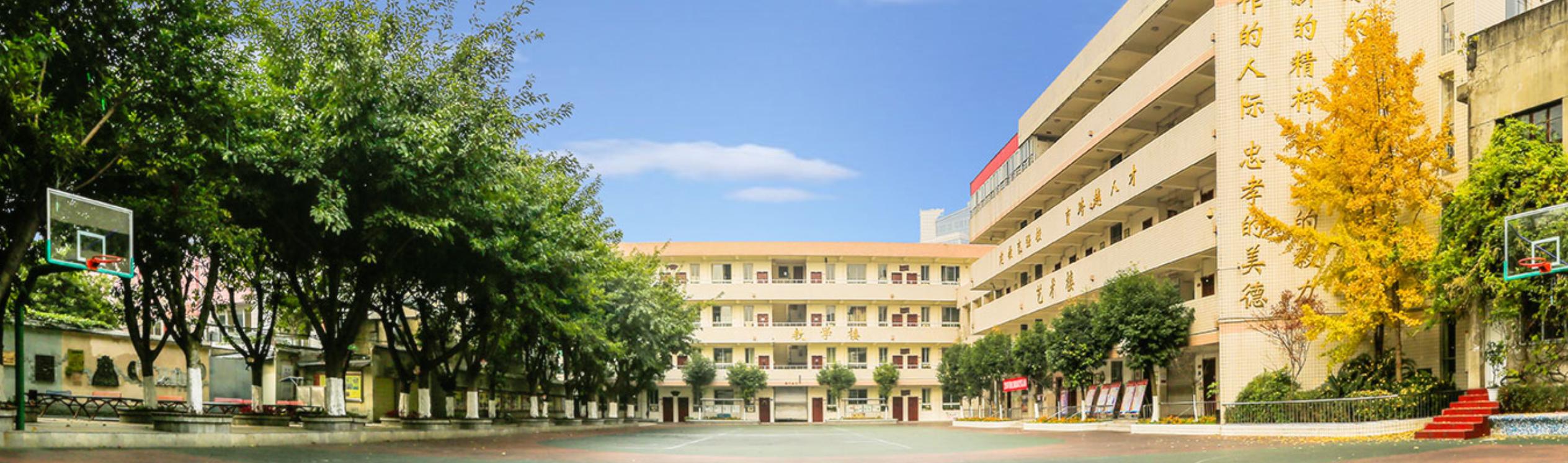 新都区2021年小学划片,2020新都街道小学划片区