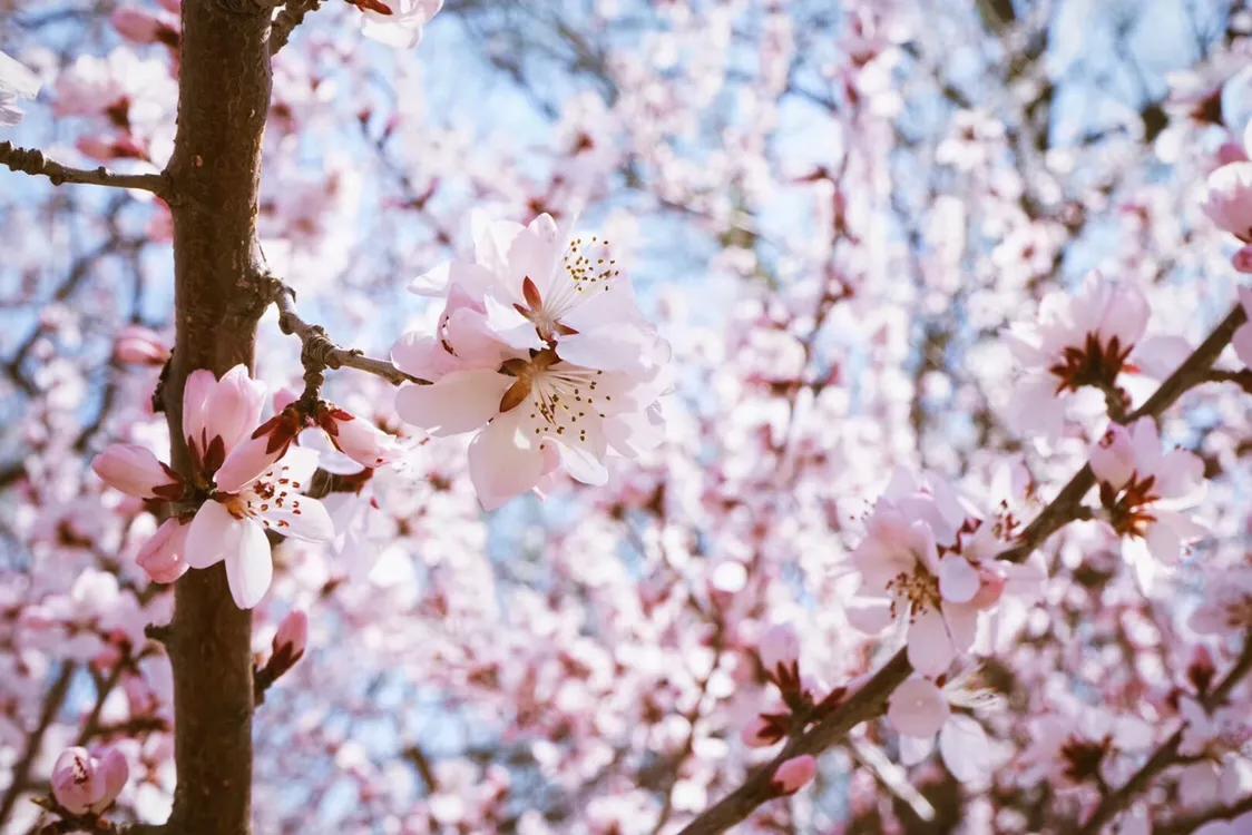 清明去密云清凉谷,北京密云清凉谷玻璃天桥