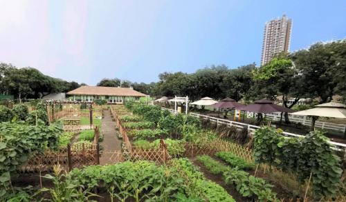 广州周末带娃好去处免费,广州遛娃的地方免费景点