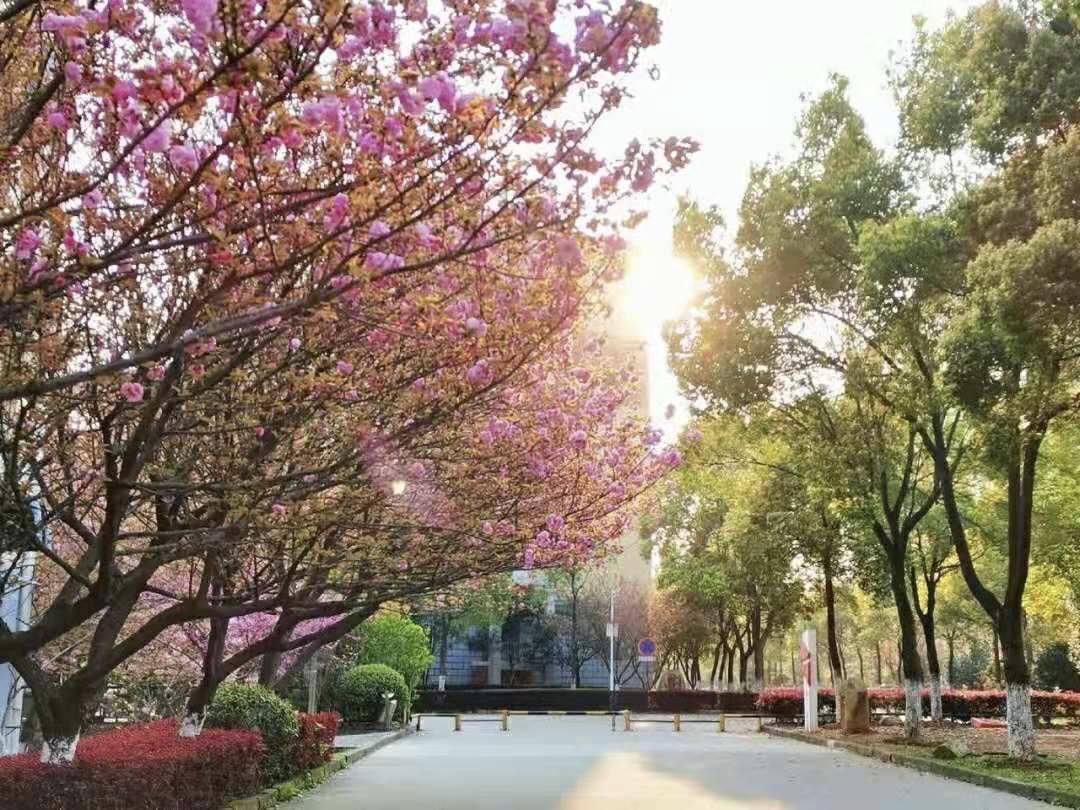 江西有哪些大学申硕成功,2024年九江学院能否申硕成功