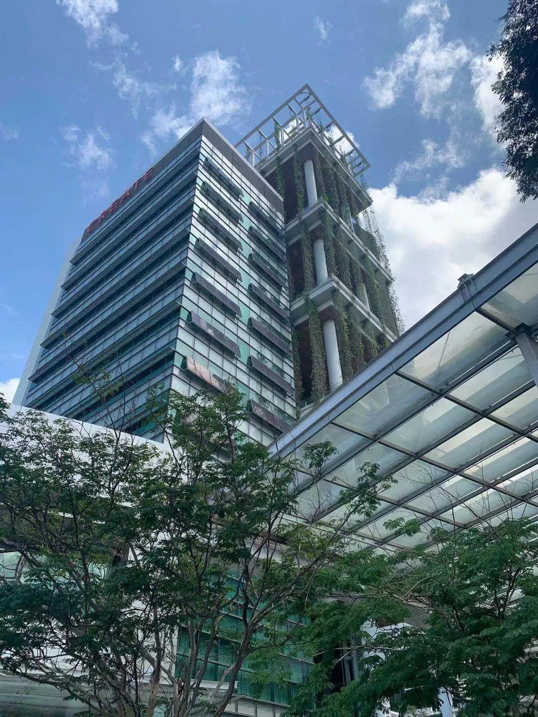 留学新加坡统计专业必备条件,nus统计学硕士课程