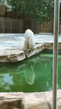 你见过的最搞笑的gif,搞笑gif开心一刻单身也挺好