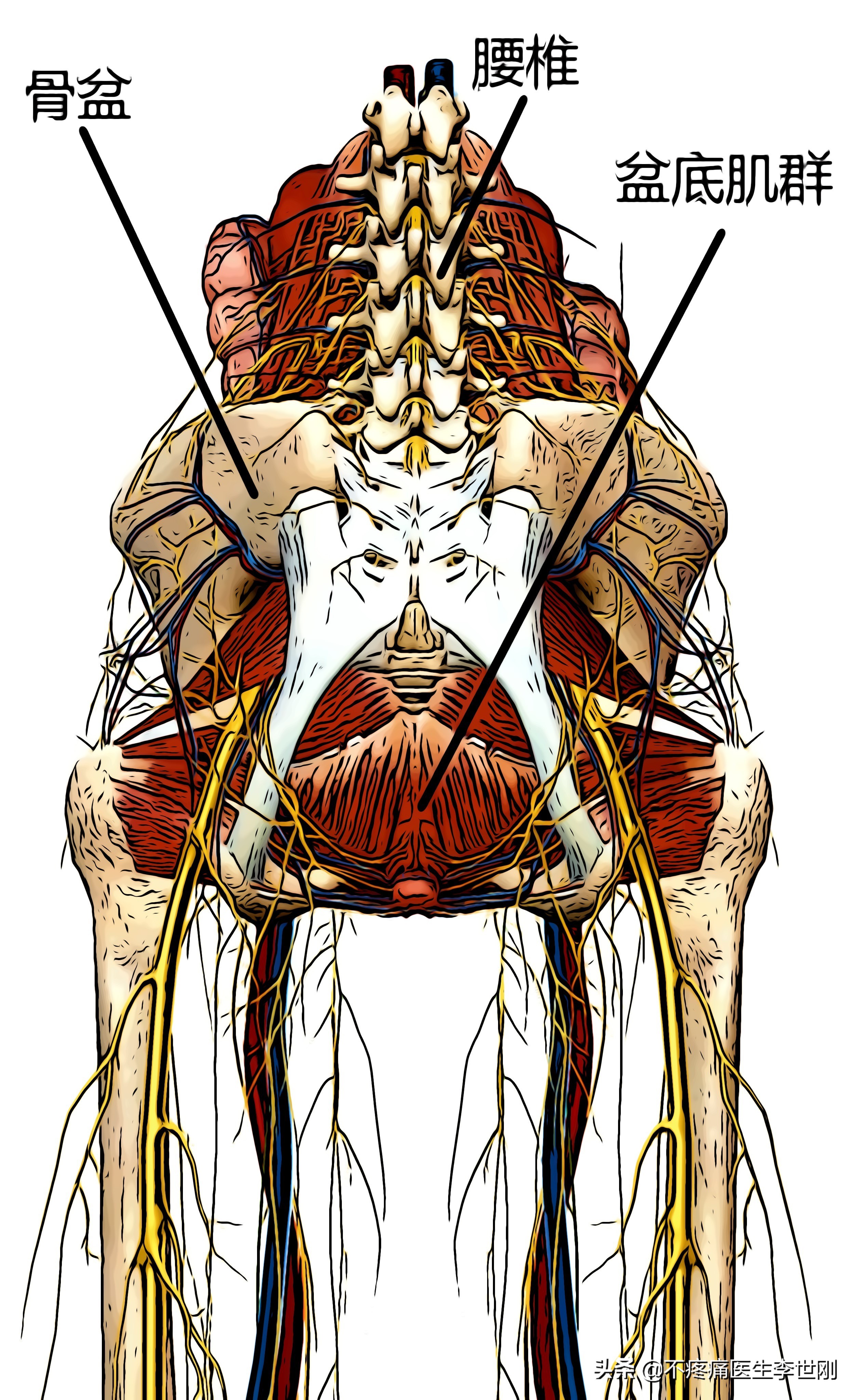 盆底功能障碍康复治疗10次,盆底肌功能障碍怎么治疗