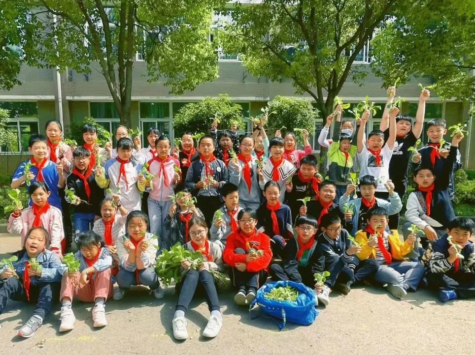 最美的风景美丽的校园,最美的风景就是校园