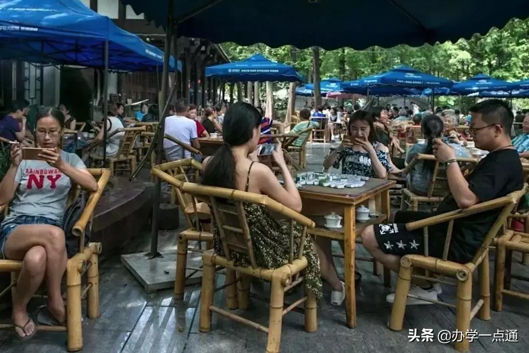 四大名补是哪个学校,四川省成都市教育培训机构有哪些