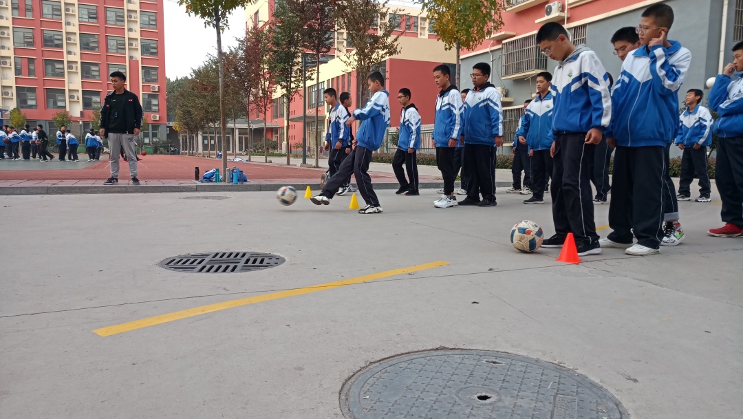 生物绘图大赛图片大全,地理生物绘图比赛