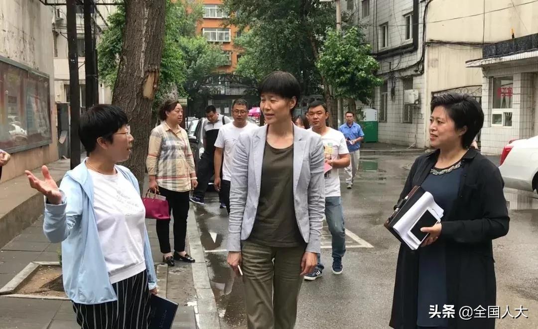 人大履职信息平台,沈阳市沈河区人大