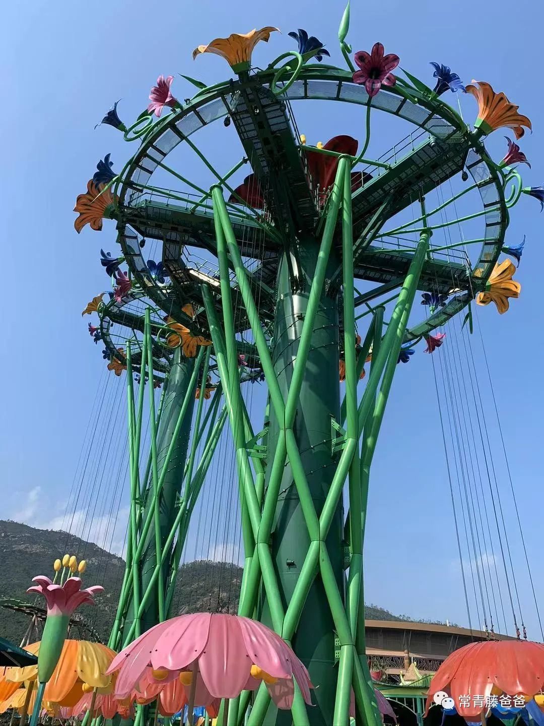 广州长隆游玩攻略水上乐园怎么去,过年去珠海长隆海洋王国游玩攻略