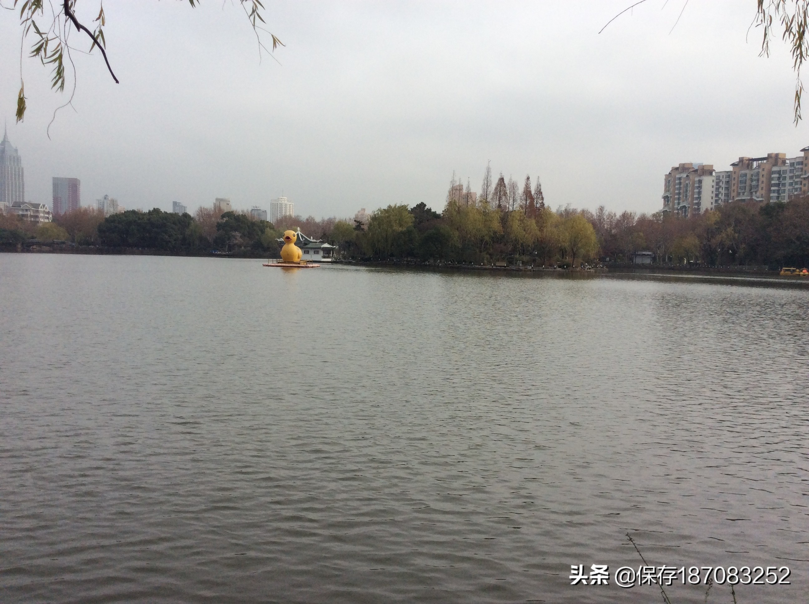 上海普陀山公园,普陀区长风公园在哪