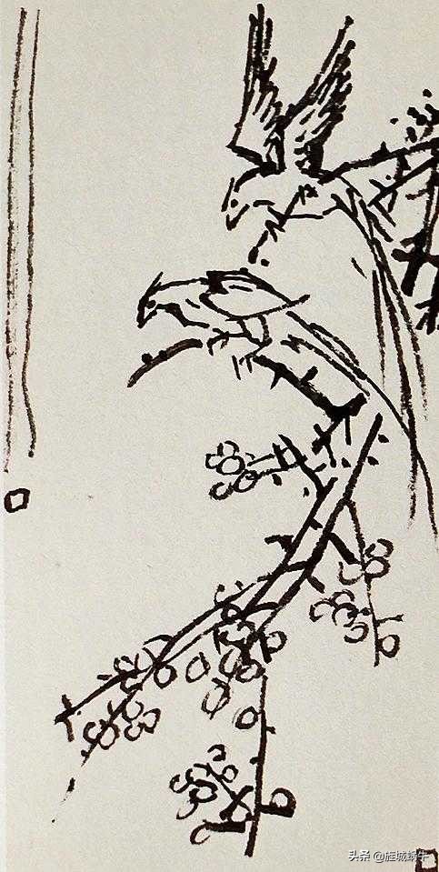 国画飞着绶带鸟的画法步骤,国画绶带鸟的画法