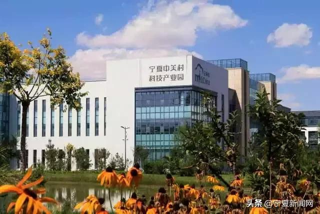 70年·夸夸我的城｜中卫：闻者向往来者依恋居者自豪