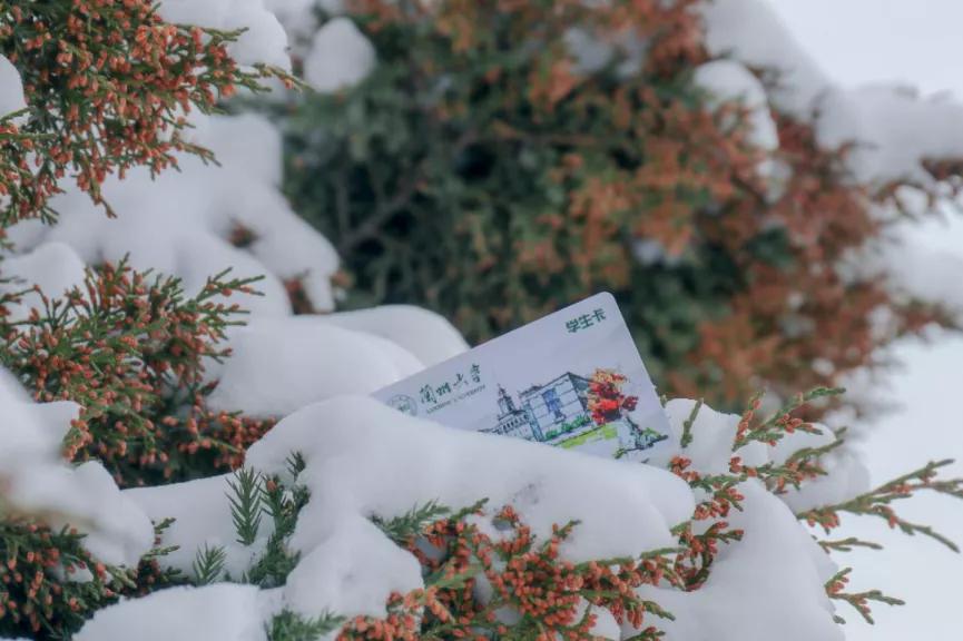 “你在看什么?”“兰大的烟火气”