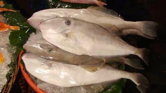 开海特价海鲜,开海的海鲜视频