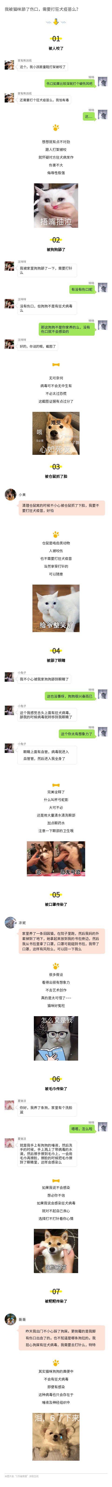 被猫咪舔了需要打狂犬疫苗吗,伤口被猫咪舔了会得狂犬病吗