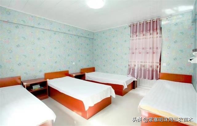 爱上一座城爱上一个人短视频,长岛大壮渔家民宿团购