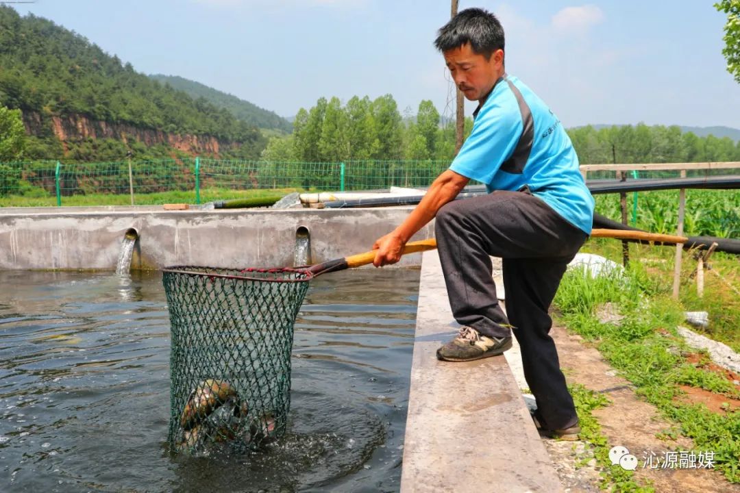 沁源县挣钱项目,沁源有什么商机