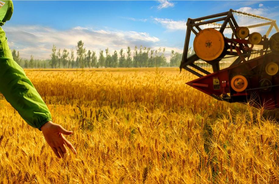 诗歌的收获,有关收麦子的古诗词有哪些