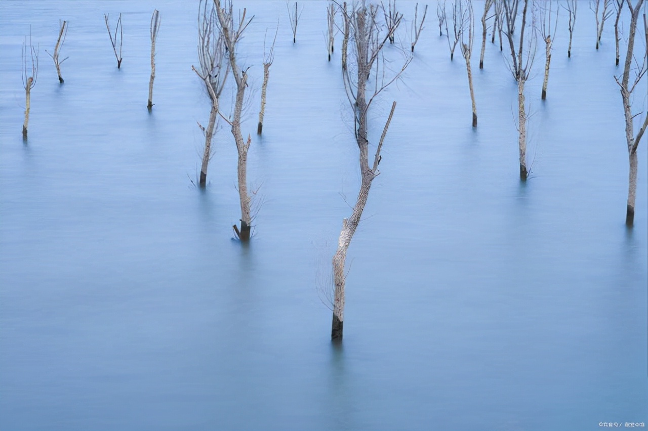 注册内部审计师有什么好处,内部审计师评审好过吗