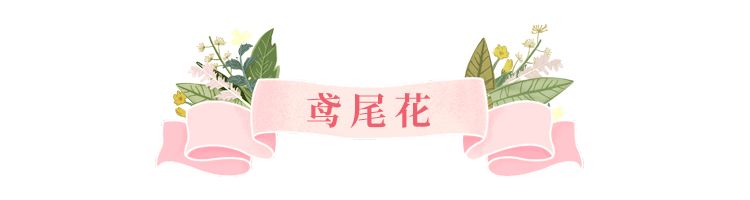 美美美!余杭七大花海组团来袭,遍地繁花好似人间仙境