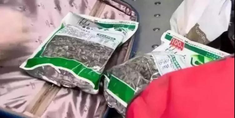 留学生海关被检查,萝卜丁口红过不了安检