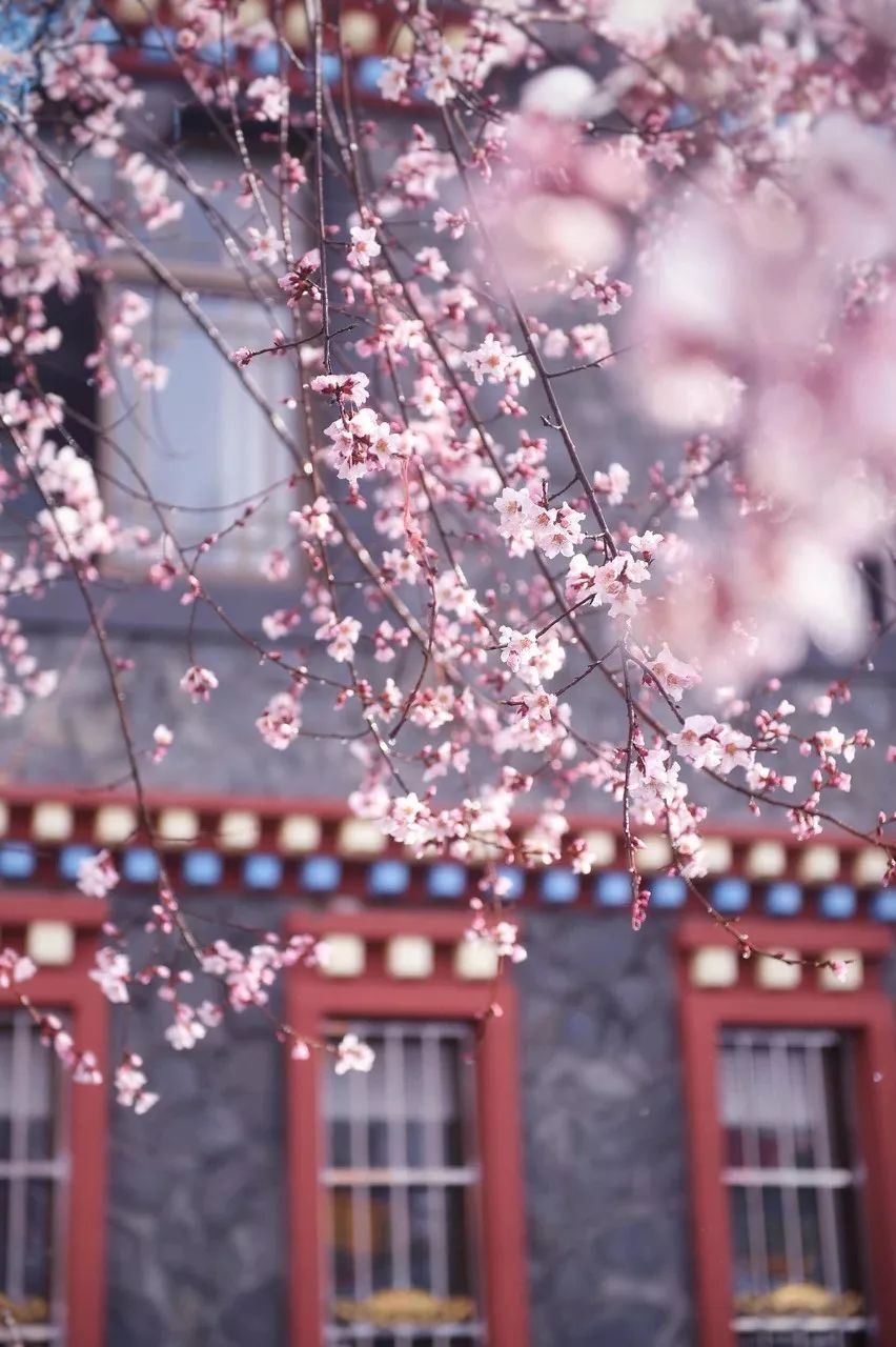 世界上最幸福的10件事是什么,世界上最幸福的10件事