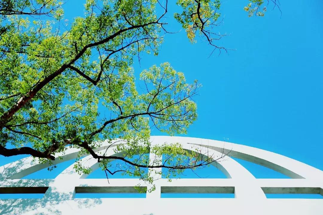 江西省南康中学校歌歌词,大余南安中学校歌