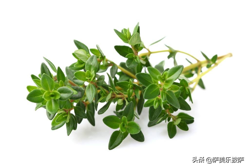 披萨用哪种香草,步骤完整的烘焙美味披萨的全攻略