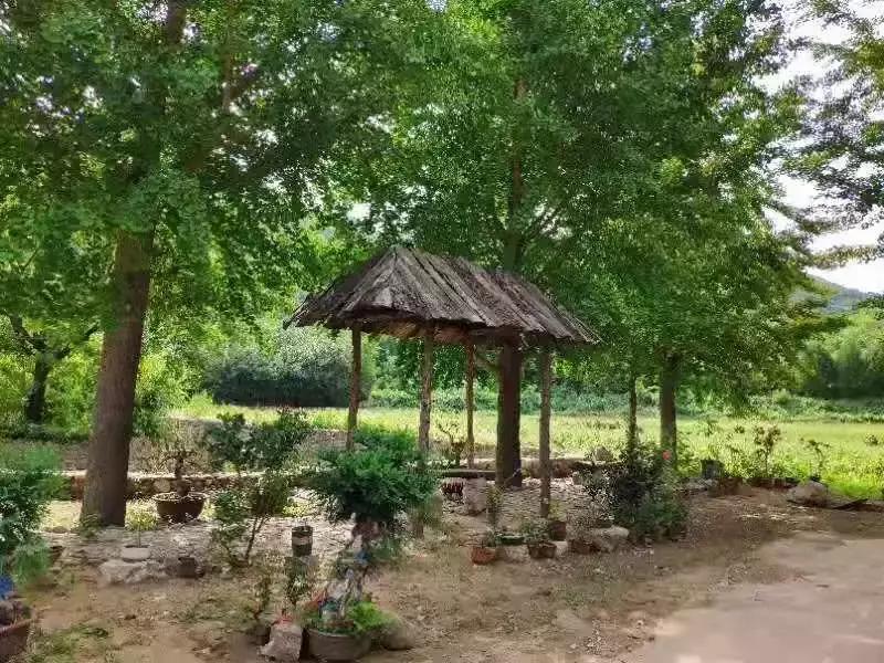 此生一定去要去的地方,此生一定要去这个地方