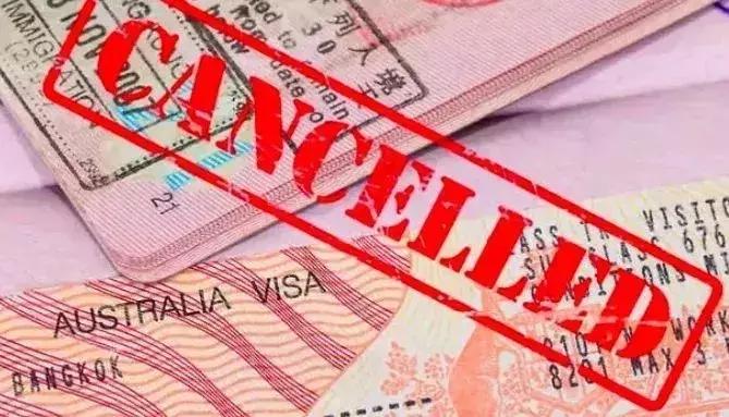 入境新加坡可以携带少量牛肉干,入境为什么不可以带水果和肉类