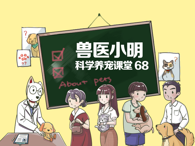 喂多少盐会导致狗狗中毒,狗摄入盐分过多抽搐怎么办