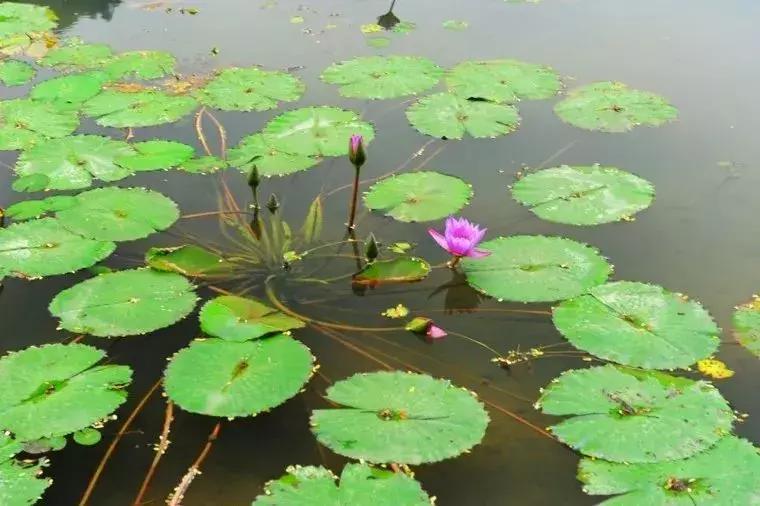 怎样使用偏振镜拍照,偏振镜拍人像的使用方法