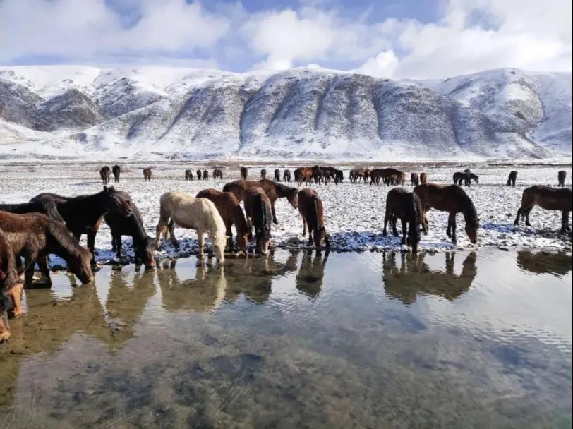 兵哥哥骑马飞奔,骑马的兵哥哥照片