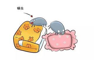 有螨虫怎么办教您祛螨小妙招,有螨虫怎么消灭