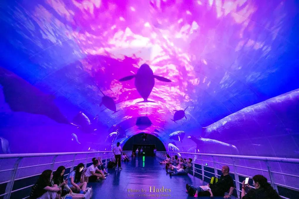 这个夏日25°C的宝藏城市美炸了！海岛、万国建筑、叮叮车..想去