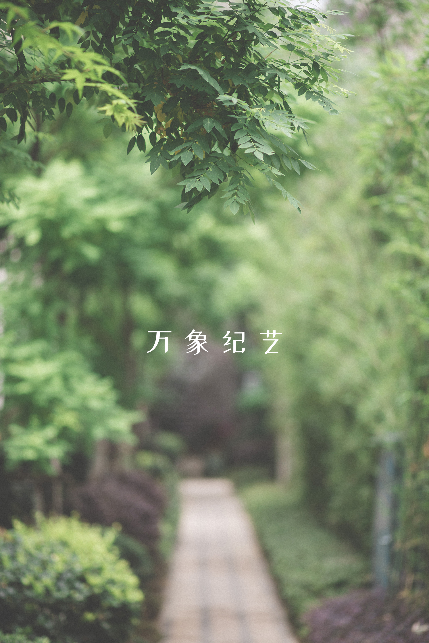 手绘屏保图片手机壁纸,手机壁纸屏保图片可保存至相册