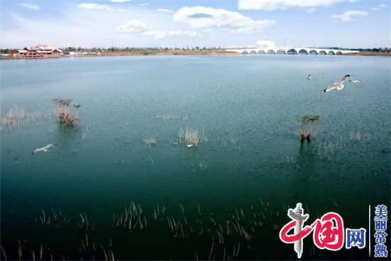 美丽常熟宣传片评论,常熟尚湖美丽风景