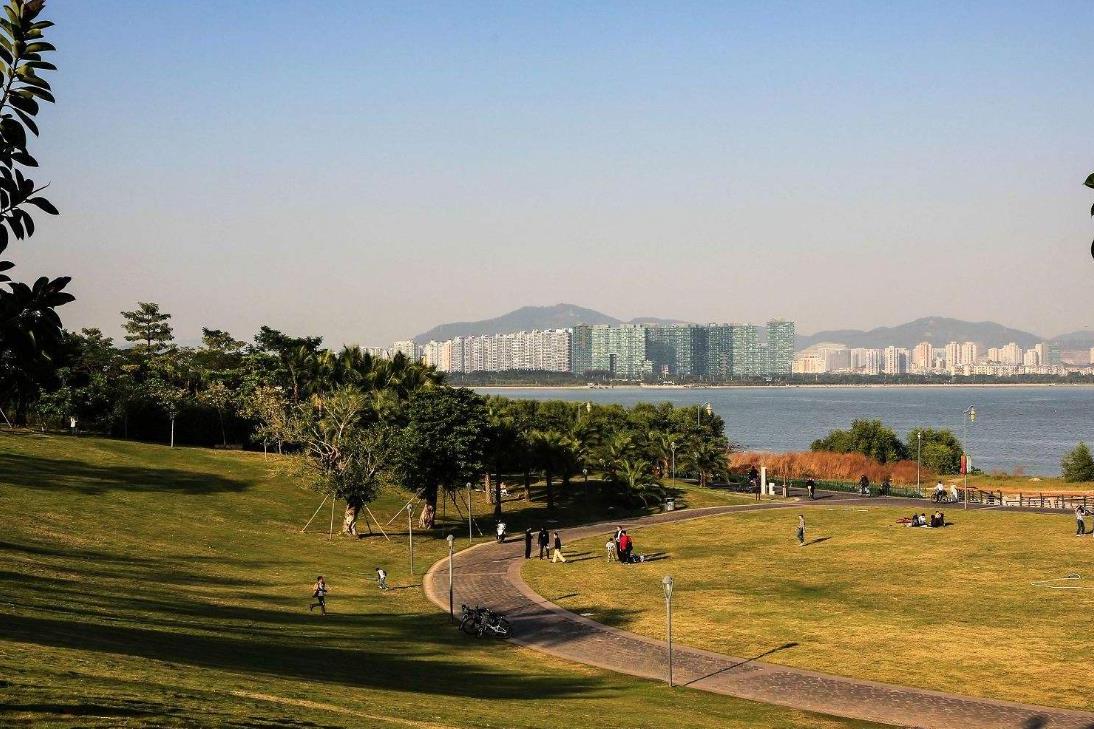 深圳湾海滨公园网红打卡地点,海滨公园深圳