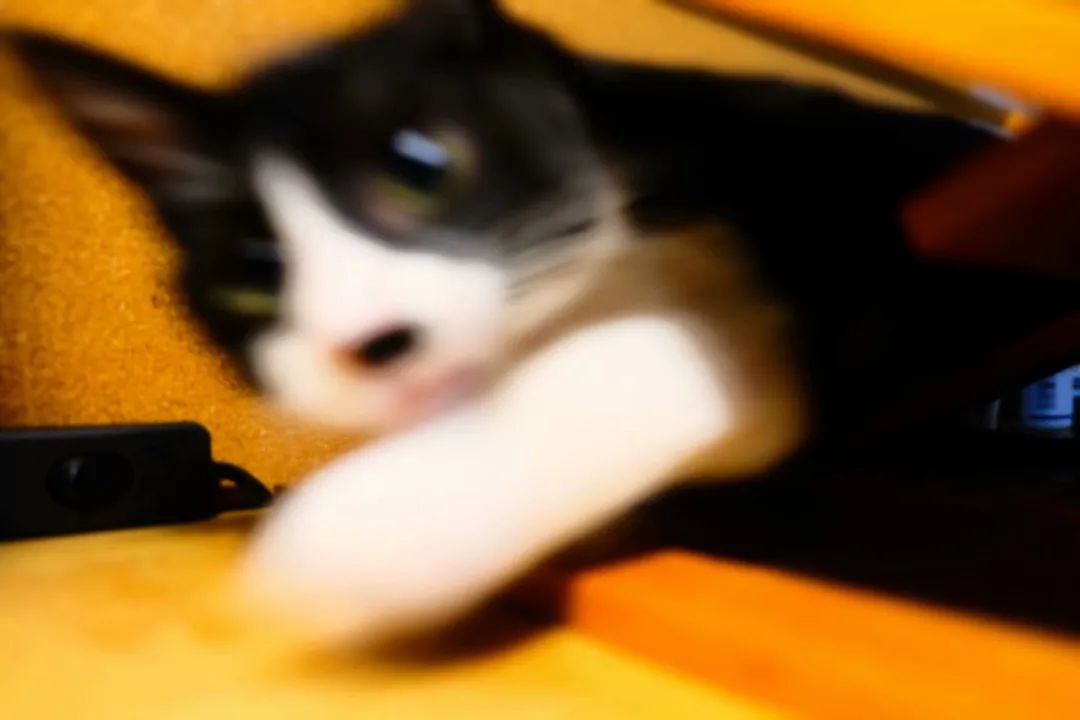 不让人省心的生肖,不让人省心的奶粉