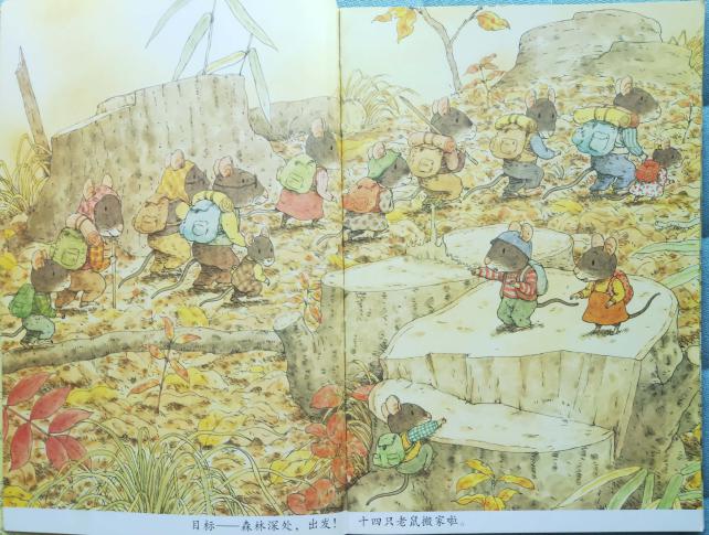 14只老鼠大搬家能让幼儿学到什么,老鼠在大自然生活