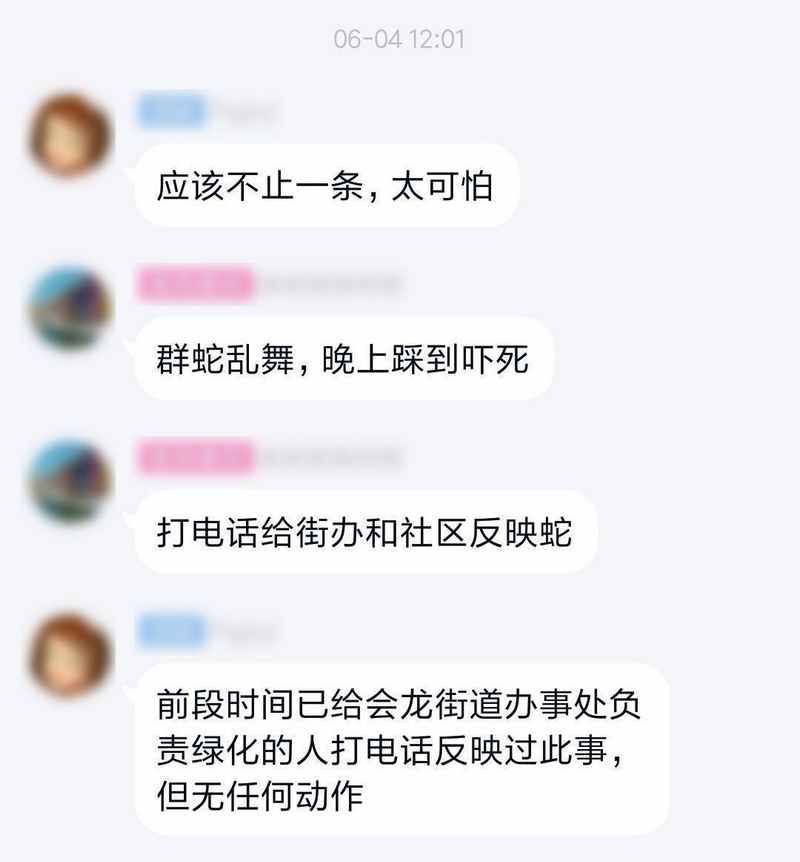 成都网友投诉怡丰新城小区榕树成灾危及行人，高新管委会回应