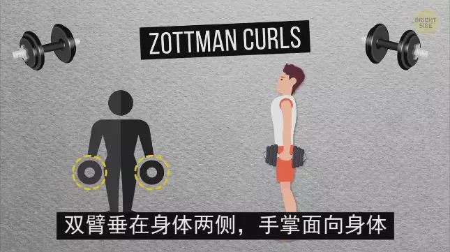 怎么练手臂的肱三头,怎么才能练出手臂的肱三头肌