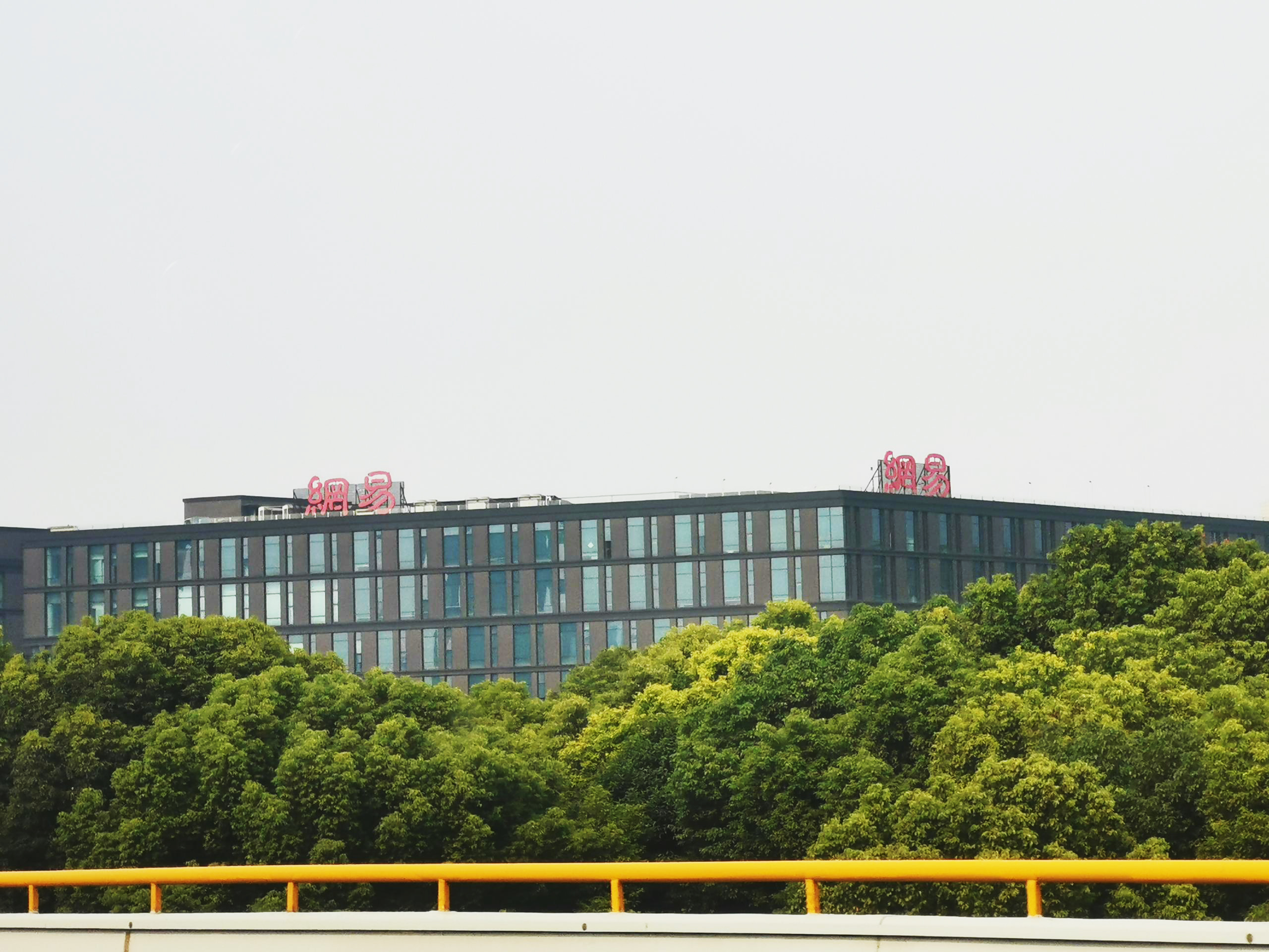 30岁白手起家成集团总裁,31岁成中国亿万富豪