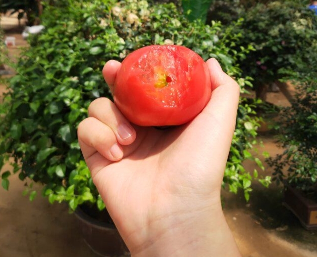 我眼中的滨城,我眼中的胶州市