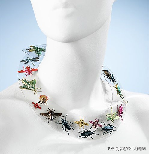 蝗虫算是物种入侵吗,蝗虫是圣甲虫吗