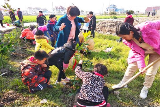 探秘！如皋竟藏着一座“青砖黛瓦书院式”网红学校！就在……