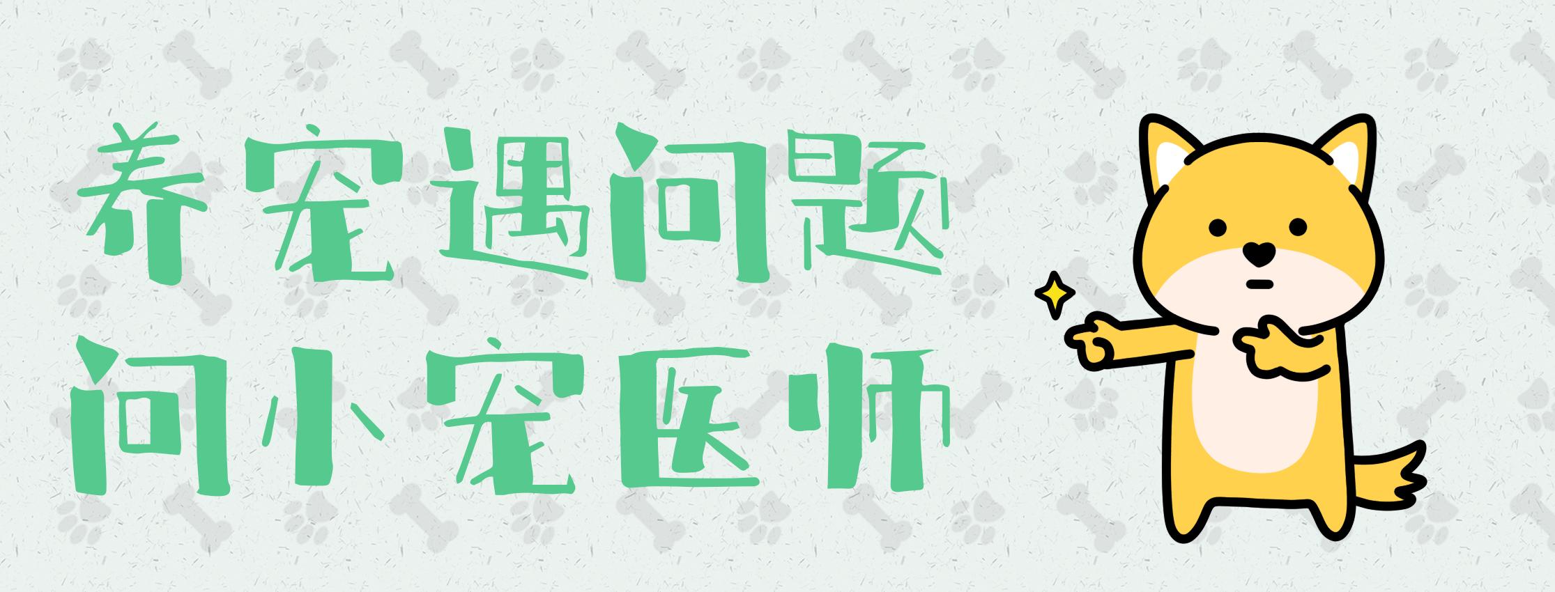 怎么给不配合的狗剪指甲,如何给不让剪指甲的狗剪指甲